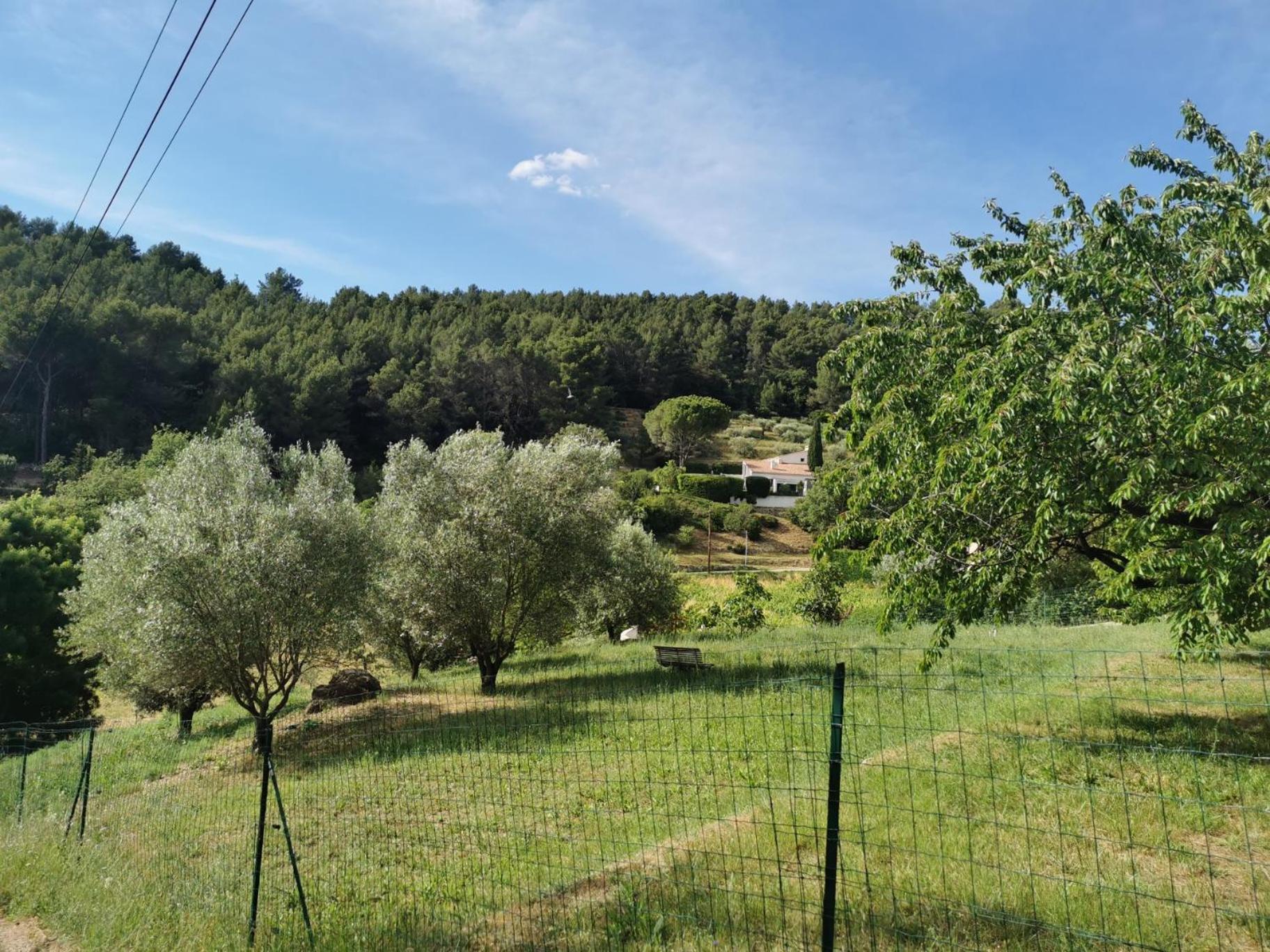 Villa Le Loriot Auriol Exterior foto